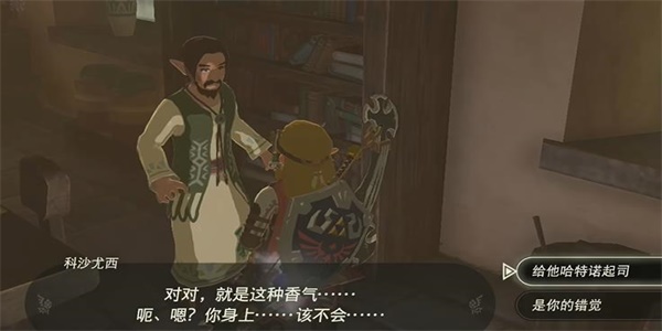 塞爾達傳說王國之淚用新名產振興村子怎么做 用新名產振興村子情節挑戰攻略[多圖]圖片4
