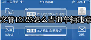 交管12123怎么查詢車輛違章