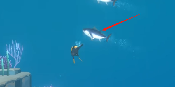 潛水員戴夫金槍魚怎么抓 黃鰭/藍鰭金槍魚捕捉方法介紹