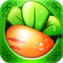 保衛蘿卜破解版