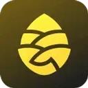 松果出行app