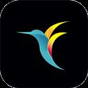 bebird智能可視采耳app