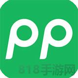 pp停車