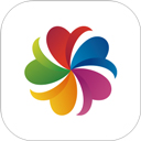 志愿匯app官方版