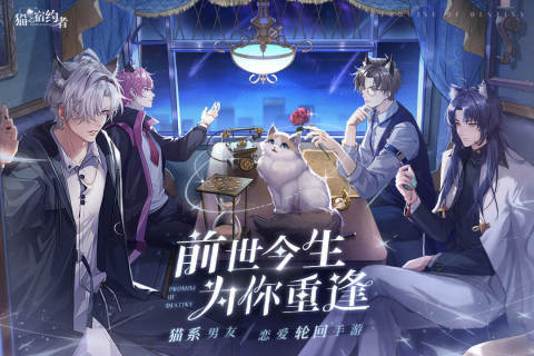 猫之宿约者手游界面展示2