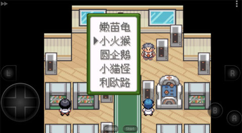 口袋妖怪：釉色界面展示2