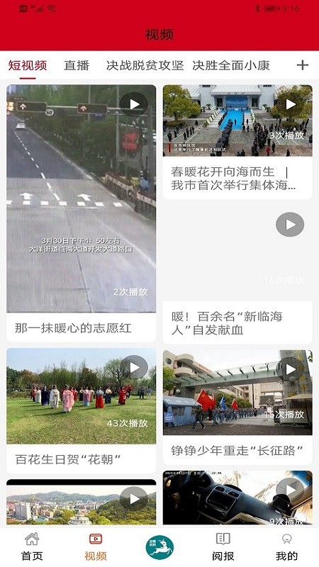 掌心臨海界面展示2