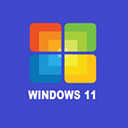 W11