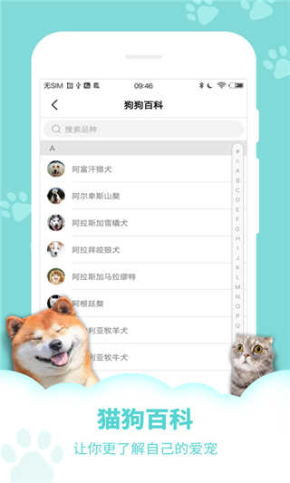 狗語翻譯器界面展示2