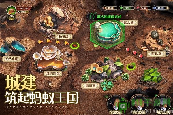 小小蟻國臺灣版