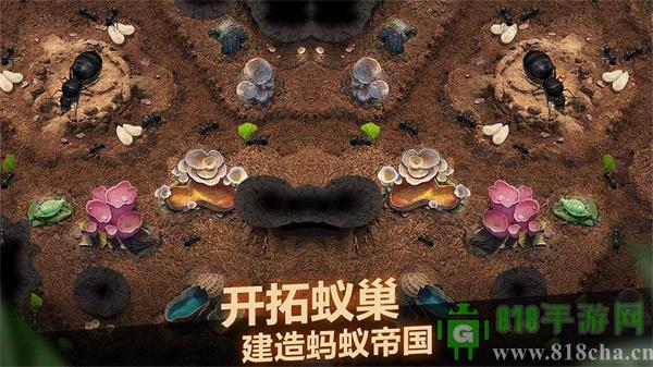 小小蟻國華為版界面展示2