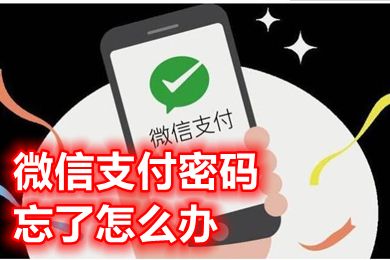 微信支付密碼忘了怎么辦 怎樣改微信支付密碼