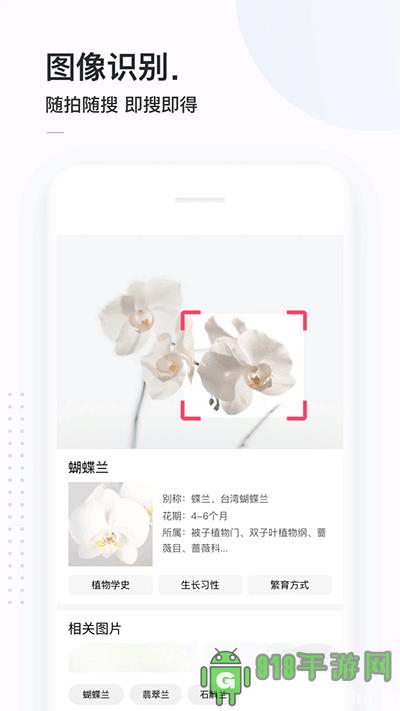 簡單搜索界面展示2