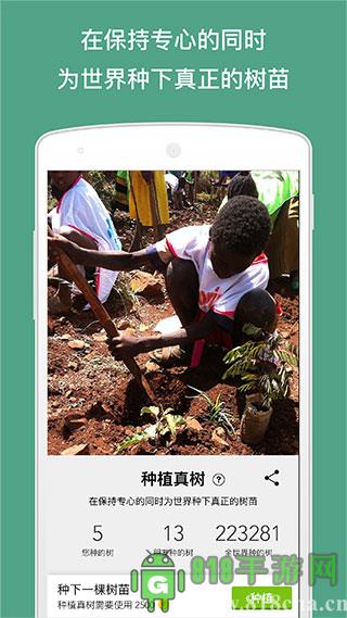 forest专注森林界面展示2