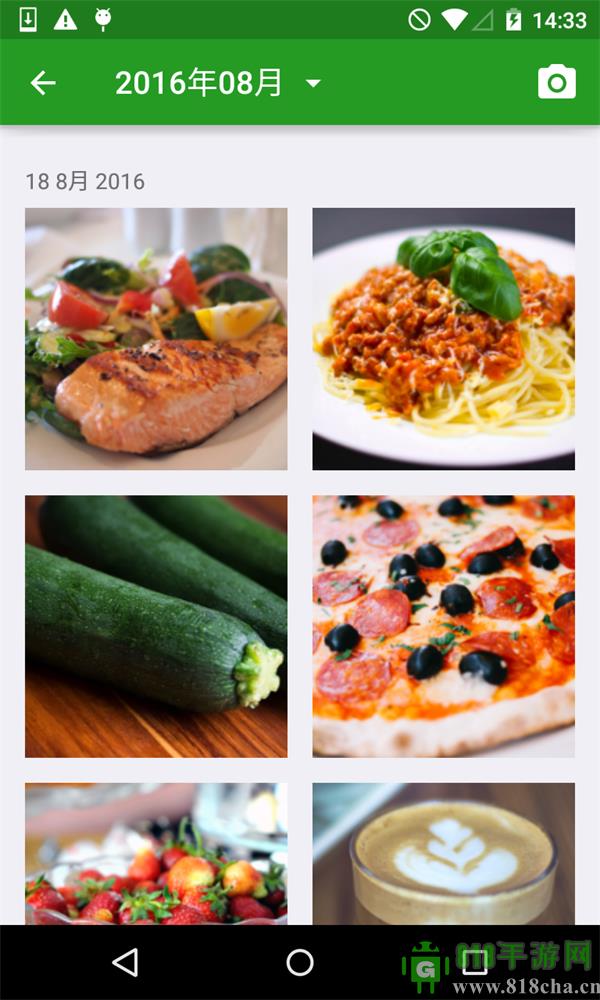 FatSecret中文版界面展示2