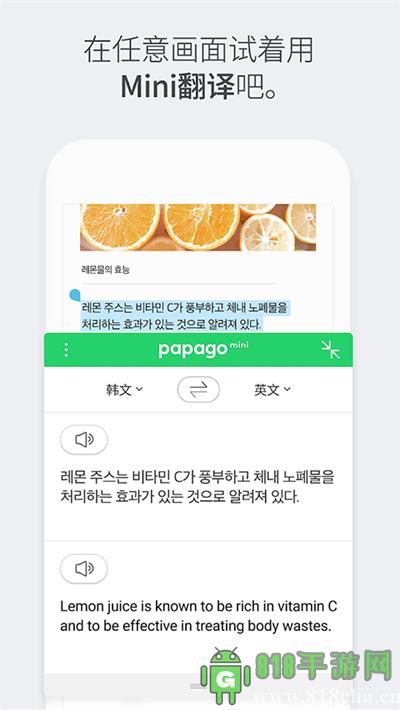 papago中韓翻譯軟件界面展示2