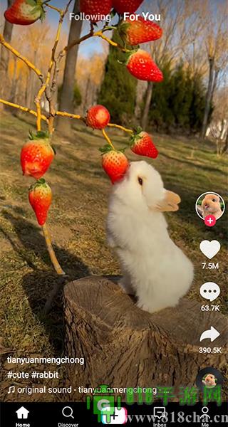 Tiktok Lite