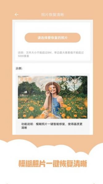 強(qiáng)力照片修復(fù)界面展示2