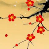 傲雪紅梅
