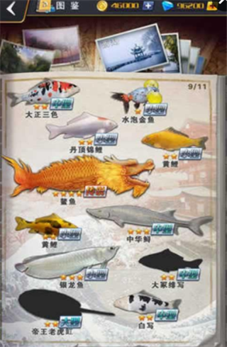世界釣魚之旅破解版界面展示2
