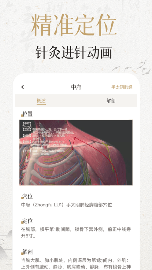 中濟(jì)經(jīng)絡(luò)穴位界面展示2