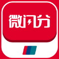 微閃分