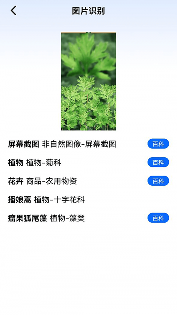 神農(nóng)百草園識(shí)別界面展示2