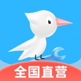 啄木鳥極速版