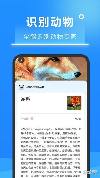 超速掃描大師界面展示2
