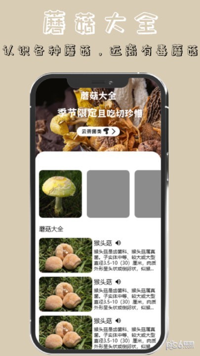 蘑菇識(shí)別高手界面展示2