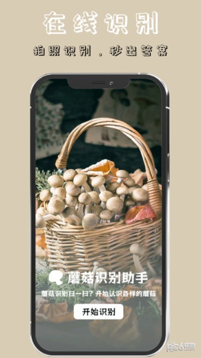 蘑菇識(shí)別高手界面展示2