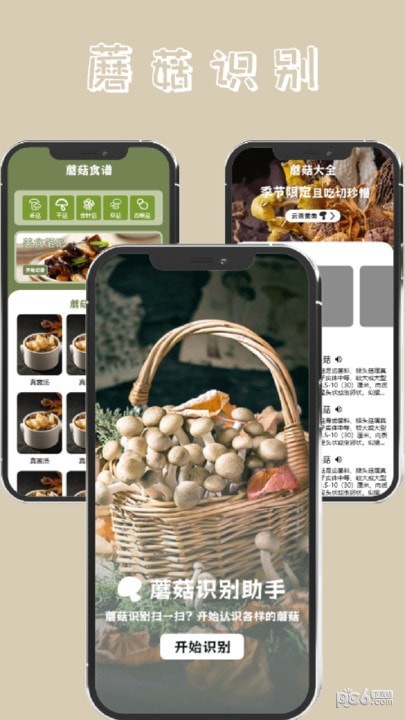 蘑菇識(shí)別高手界面展示2