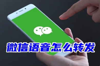 微信語音怎么轉(zhuǎn)發(fā)給別人聽?