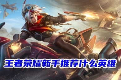 王者榮耀新手職業(yè)和英雄怎么選？