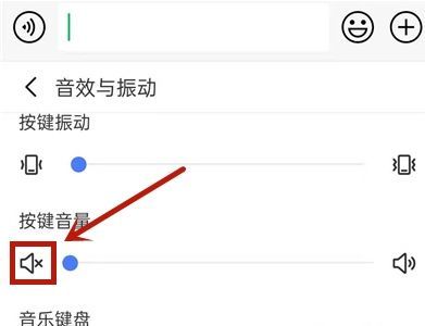 訊飛輸入法打字聲音怎么關(guān)？打字音效在哪里設(shè)置？方法教程分享！