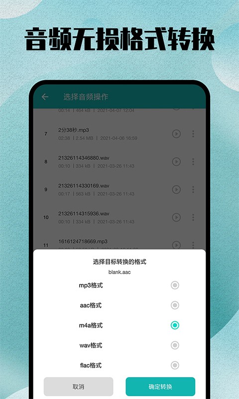 格式轉換大師界面展示2