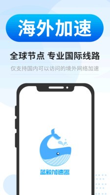 藍鯨加速器界面展示2