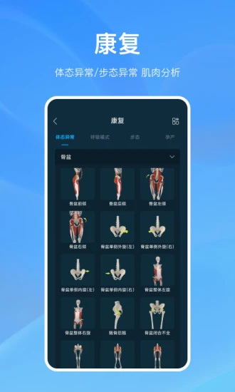 解剖大師破解版界面展示2