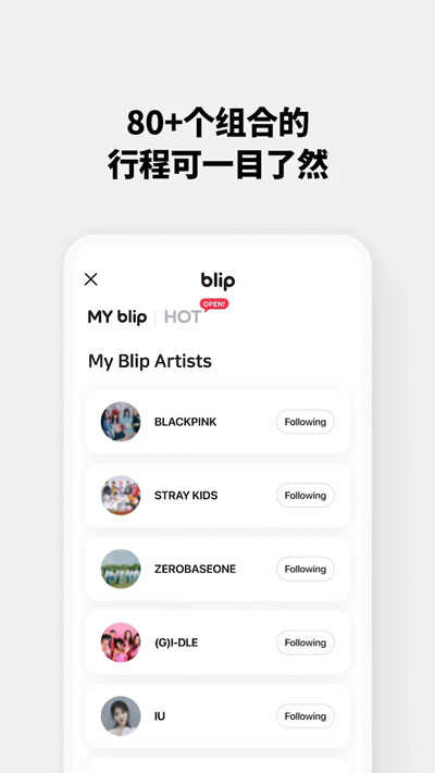 blip界面展示2
