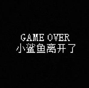 我的小鯊魚全結局攻略 全部結局觸發條件一覽圖片14