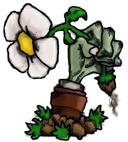 植物大戰僵尸核