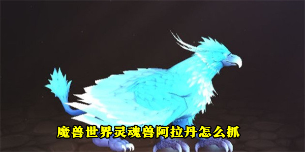 魔獸世界靈魂獸阿拉丹怎么抓?靈魂獸阿拉丹抓取方法介紹