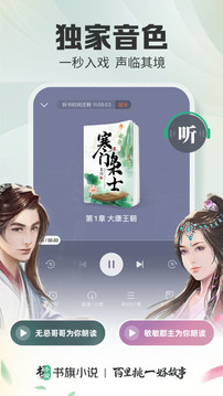 書旗小說界面展示2