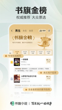 書旗小說界面展示2