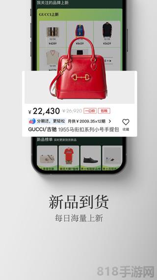 寺庫奢侈品界面展示2