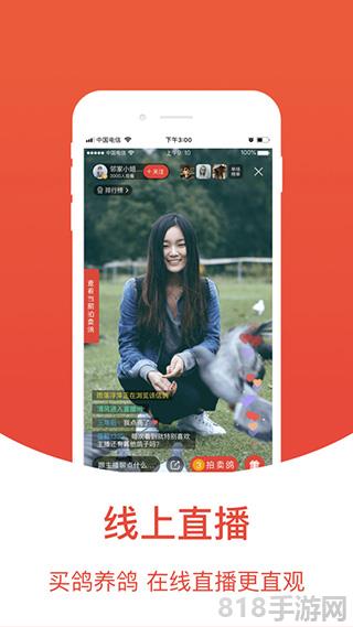 賽鴿頭條蘋果版界面展示2