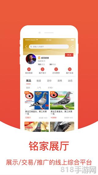 賽鴿頭條蘋果版界面展示2