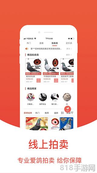 賽鴿頭條蘋果版界面展示2