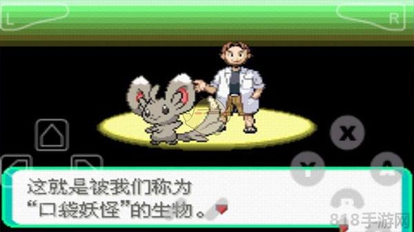 口袋妖怪漆黑的魅影官方正版界面展示2