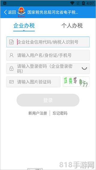 河北電子稅務(wù)局官方app界面展示2